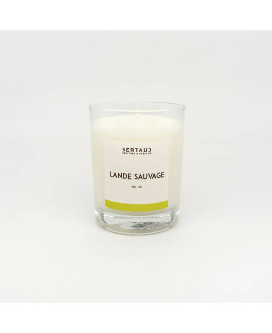 Lande sauvage - Bougie Fleur d'ajonc