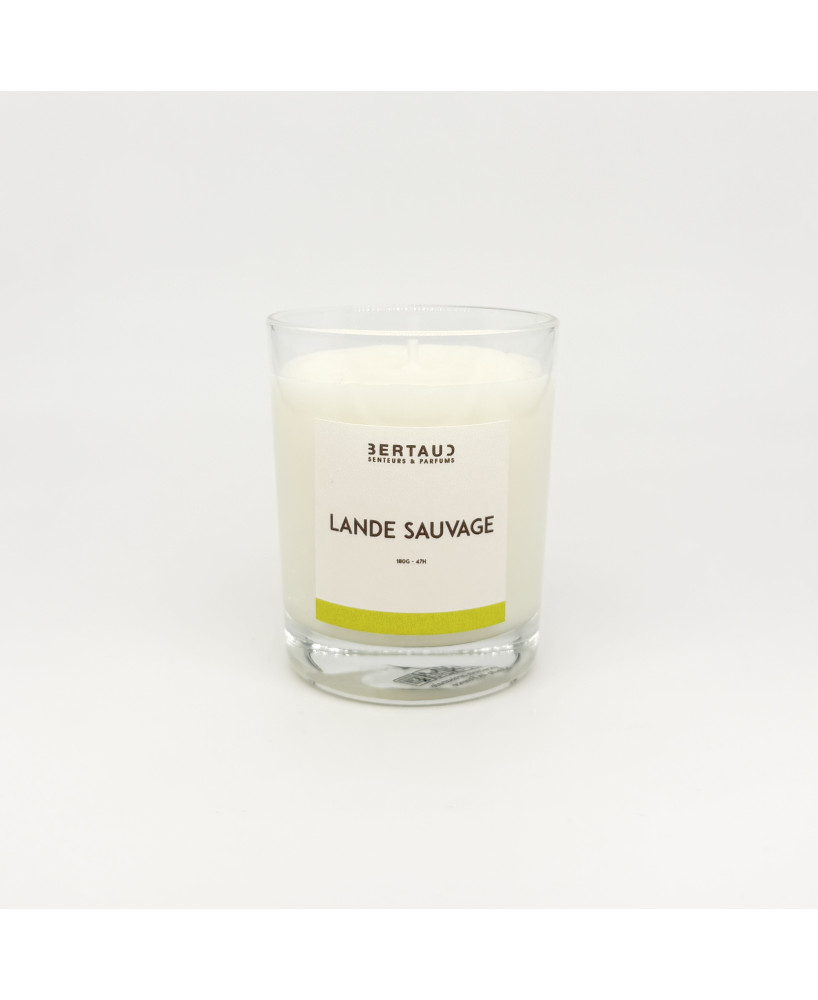 Lande sauvage - Bougie Fleur d'ajonc