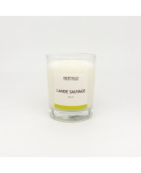 Lande sauvage - Bougie Fleur d'ajonc