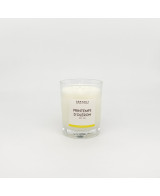 Printemps d'Oléron - Bougie Mimosa (125g)