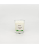 Sentier de l'océan - Bougie Pin & Algues (125g)