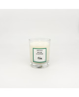 Refuge d'altitude - Bougie Palo Santo (125g)