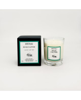 Refuge d'altitude - Bougie Palo Santo (125g)