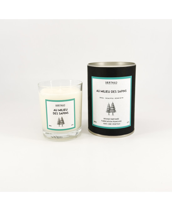 Au milieu des sapins - Bougie Epicéa & Eucalyptus