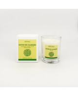 Sentier des calanques - Bougie Pin & Algues (125g)
