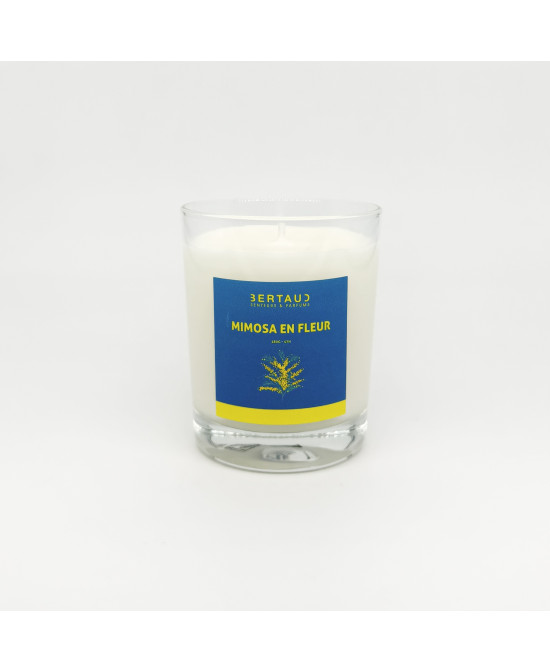 Mimosa en fleur - Bougie