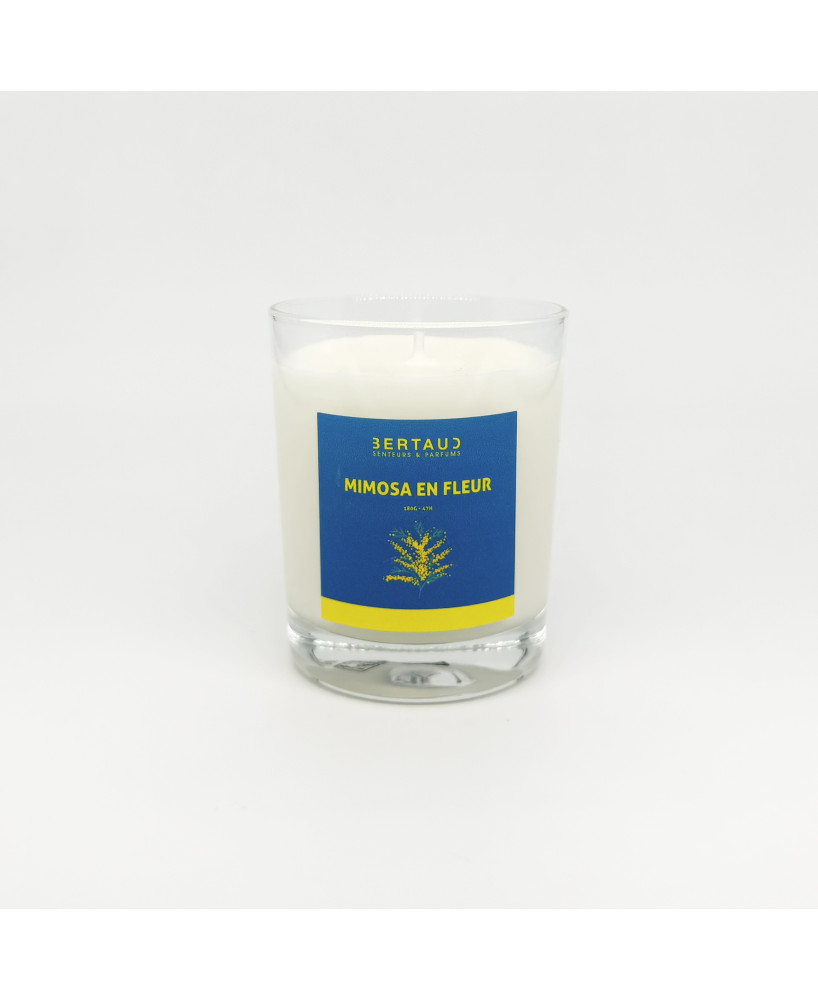 Mimosa en fleur - Bougie