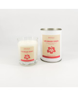 Les beaux jours - Bougie Rose & Pamplemousse