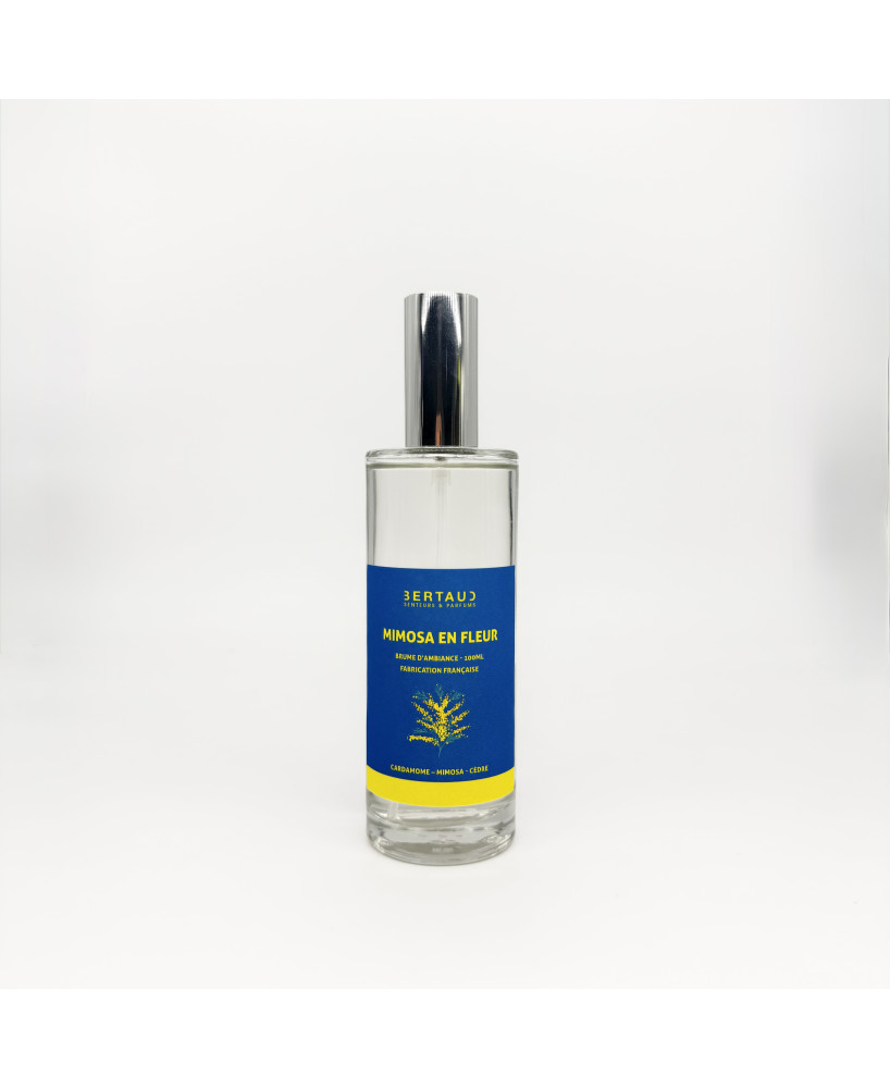 Mimosa en fleur - Brume d'ambiance