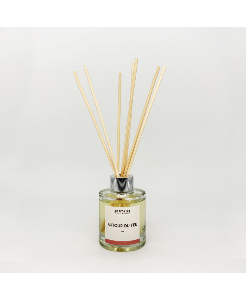 Autour du feu - Diffuseur Feu de bois