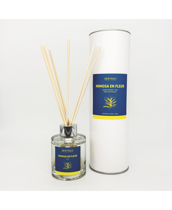 Mimosa en fleur - Diffuseur