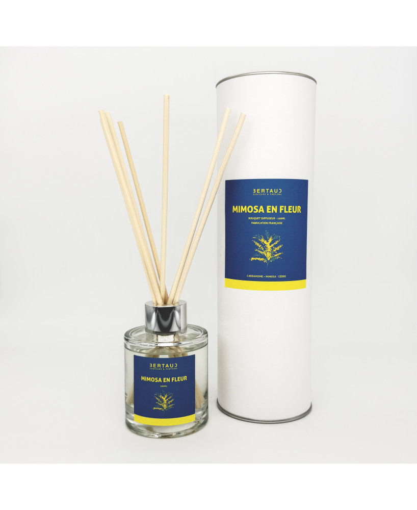Mimosa en fleur - Diffuseur