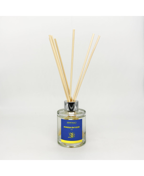 Mimosa en fleur - Diffuseur