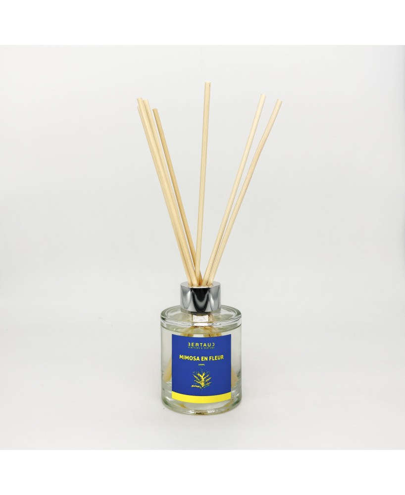 Mimosa en fleur - Diffuseur