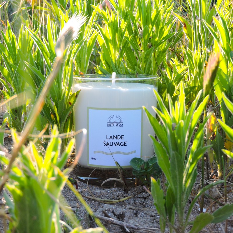 Bougie parfum fleur d'ajonc. Parfum zen et apaisant.