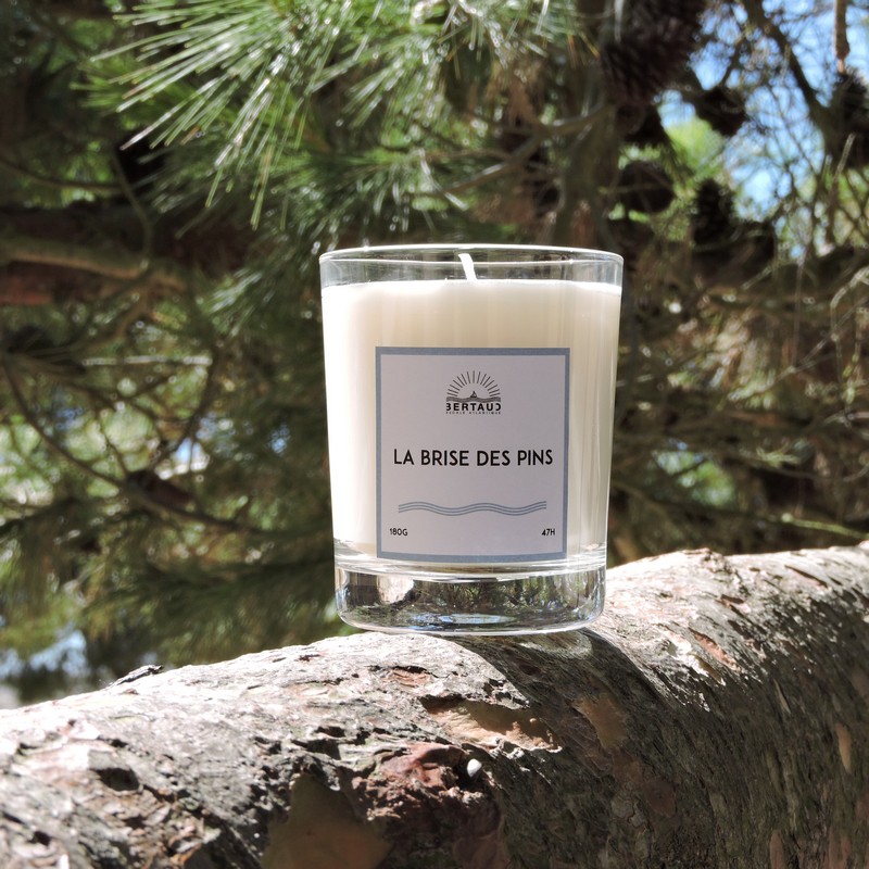 Bougie au parfum rafraichissant de pin et d'eucalyptus pour changer d'air.