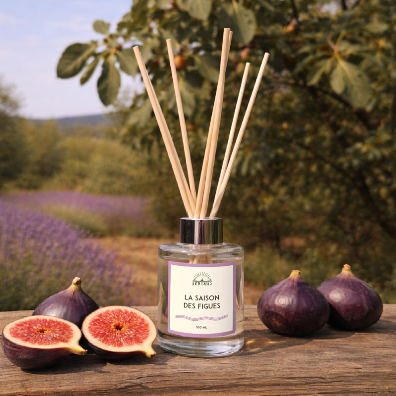 Escapade en Provence, où les figues apparaissent doucement sur les branches parfumées des figuiers.