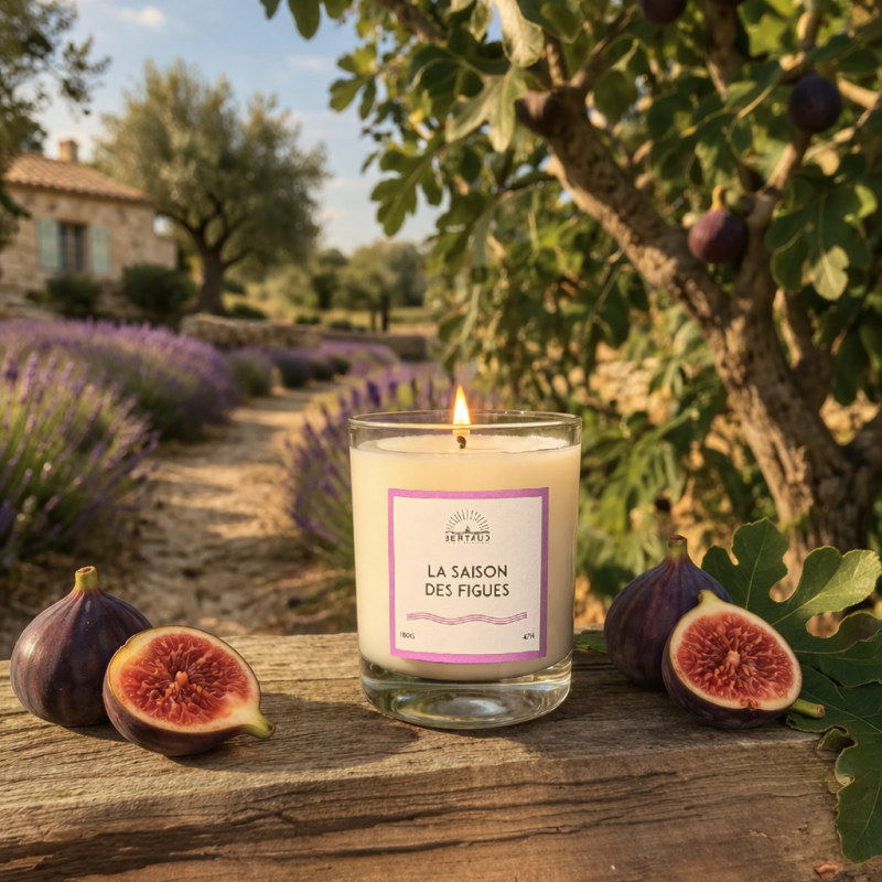 Escapade en Provence, où les figues apparaissent doucement sur les branches parfumées des figuiers.
