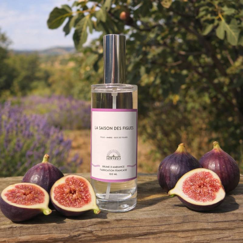 Escapade en Provence, où les figues apparaissent doucement sur les branches parfumées des figuiers.