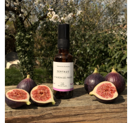 Escapade en Provence, où les figues apparaissent doucement sur les branches parfumées des figuiers.