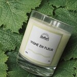 La nature nous offre parfois des parfums éphémères, qui ne durent que quelques jours et s’éteignent jusqu’à l’année suivante.
.
C’est le cas de la fleur de vigne. Après les premières feuilles et les grappes, la floraison éclôt sur les branches. La vigne embaume alors d’un parfum si spécifique mêlant la douceur d’une fleur, la naturalité d’une herbe fraîche et le peps d’un agrume.
.
Notes de fleur de vigne et de sève végétale 
.
Disponible sur l’e-shop et en boutique en bougie parfumée, brume d’ambiance, diffuseur à tiges rotin et savon
.
.
📷 @polereagency 🌷