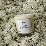 Fleurs d’hirondelle ne fait pas le printemps mais ça s’en approche 
.
Parfum fleurs d’hirondelle aux notes de fleur de troène, bergamote, girofle
.
Disponible sur l’e-shop et en boutique en bougie parfumée, diffuseur à tiges rotin, brume d’ambiance et savon
.
.
📷 @polereagency 🪴