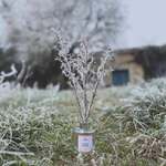 Ambiance feutrée avec notre parfum Cognac Agrumes
.
Aux notes d’ambre, mandarine et yuzu
.
Disponible en bougie parfumée, diffuseur à tiges rotin et brume d’ambiance.
.
.
📷 @polereagency ❄️