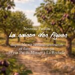 🆕 Avec La saison des figues, c’est le délicat parfum de la figue qui s’associe au bois de figuier.
.
Chacun y trouve ses propres références : l’été au bord de l’Atlantique, l’ombre épaisse tant recherchée en Provence, le picnic dans la campagne occitane et bien d’autres encore… quelle est la vôtre ?
.
Disponible sur l’e-shop et en boutique en bougie parfumée, diffuseur à tiges rotin et brume d’ambiance
.
.
📷 @polereagency 💜
