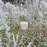 Meilleur moment pour allumer sa bougie Autour du feu
.
Aux notes de conifère, encens, bois de Gaïac 
.
Disponible en bougie, en diffuseur à tiges rotin et en brume d’ambiance.
.
.
📷 @polereagency ⛄️