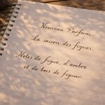 🆕 Révélation du nouveau parfum qui a rejoint notre collection cet été
.
Il est inspiré de nos îles Atlantiques mais d’après vos retours, vous y retrouvez les souvenirs de vos jours en Provence, dans le sud-ouest de la France, on nous a même dit qu’il fait penser au Maroc…
.
Disponible sur l’e-shop et en boutique en bougie parfumée, diffuseur à tiges rotin et brume d’ambiance
.
.
📷 @polereagency 💜