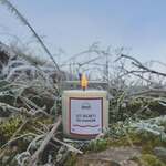 Tellement satisfaisant de regarder la nature givrée à travers la vitre, tout en étant à l’abri du froid. Une sensation de chaleur avec le parfum Les secrets du manoir.
.
Aux notes de seringat, feuille de tabac, santal.
.
Disponible en bougie, en diffuseur à tiges rotin, en brume d’ambiance et en savon.
.
.
📷 @polereagency ❄️